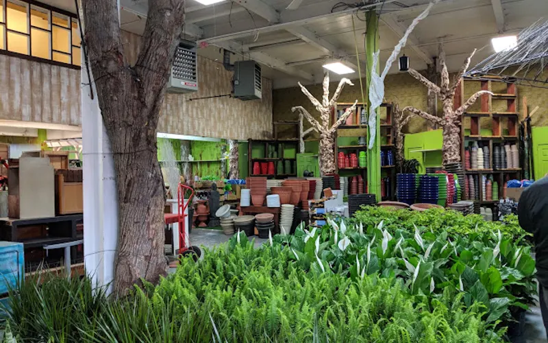 Brooklyn Plantology by Lapide — Garden center