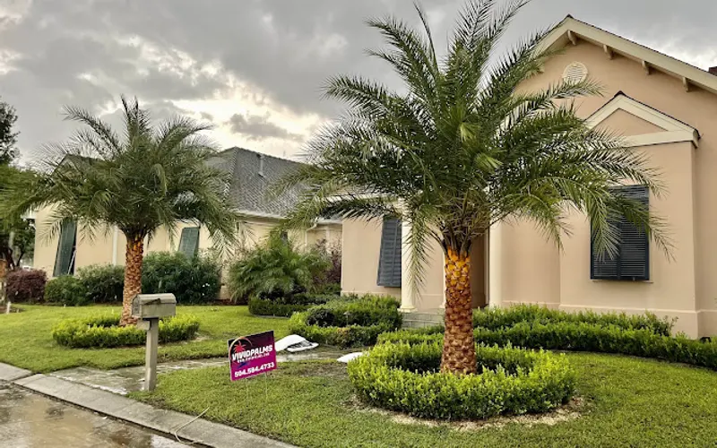 Vivid Palms — Garden center