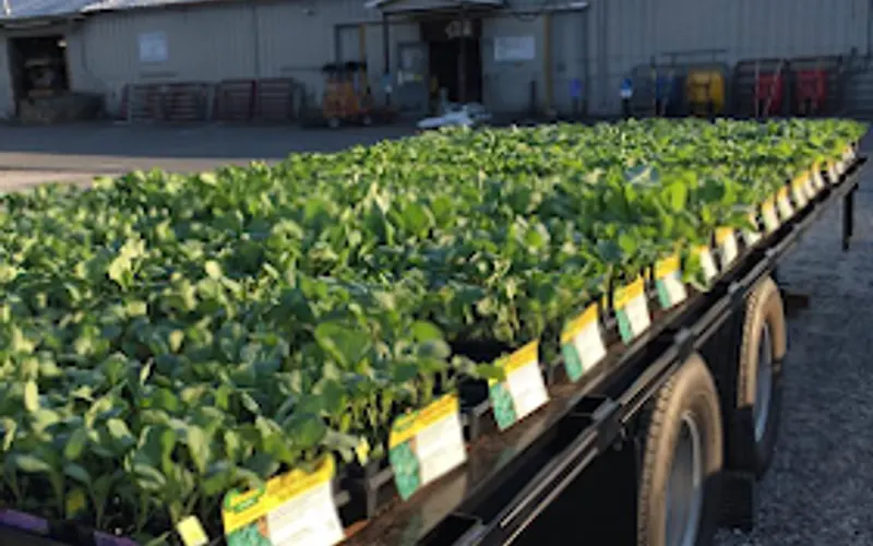 Farmers Exchange — Garden center