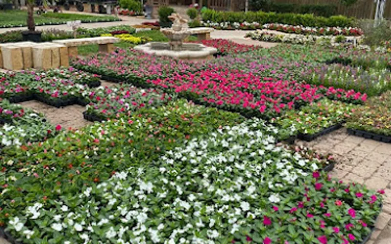 Speedy Grass & Nursery LLC — Sod supplier