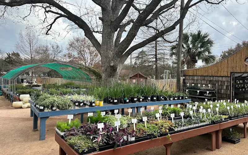 The Natural Gardener — Garden center