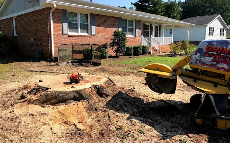Grinderz Stump Grinding — Tree service