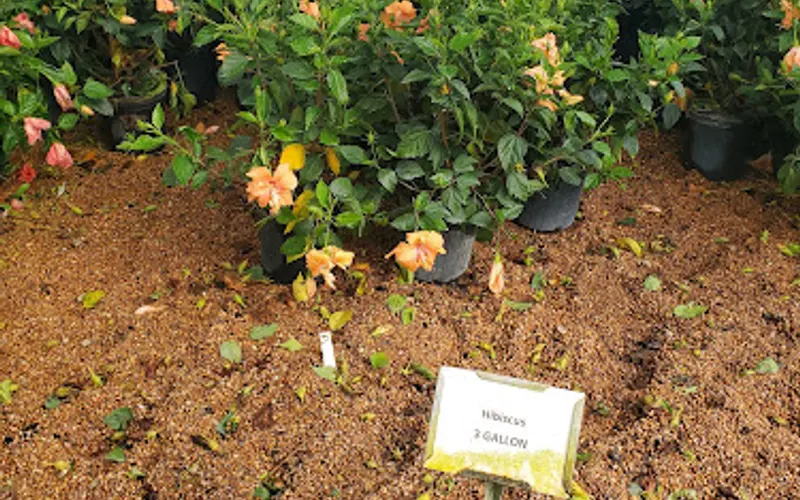 Lucky Landscape Supply — Landscaping supply store