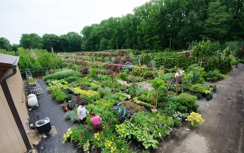 A.N.T. Nursery Inc. — Plant nursery