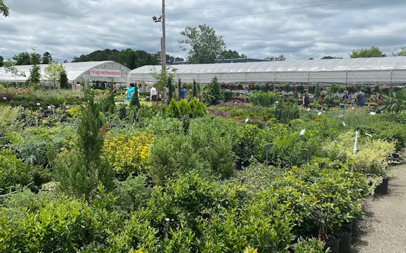 Wilson's Nursery & Garden Center — Garden center