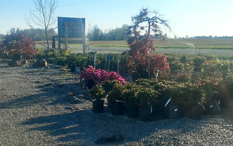 Guite Nursery & Landscape — Plant nursery
