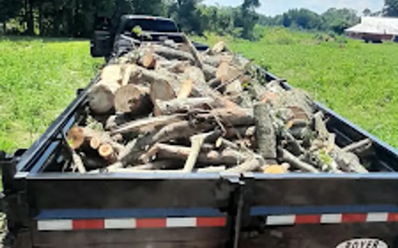 Wassmer's Property Maintenance LLC - tractor work, tree removal, gravel/mulch/dirt delivery, tilling. — Property maintenance