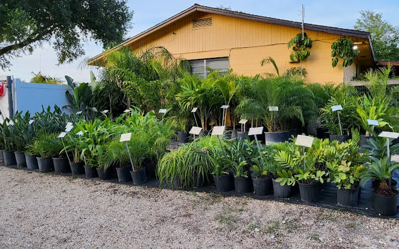Landscaping By Butcher's Nursery — Plant nursery