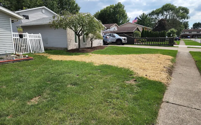 The Tree Service — Tree service