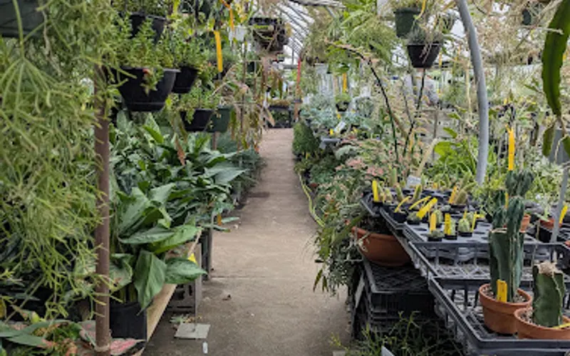 Potratz Greenhouses — Landscaper