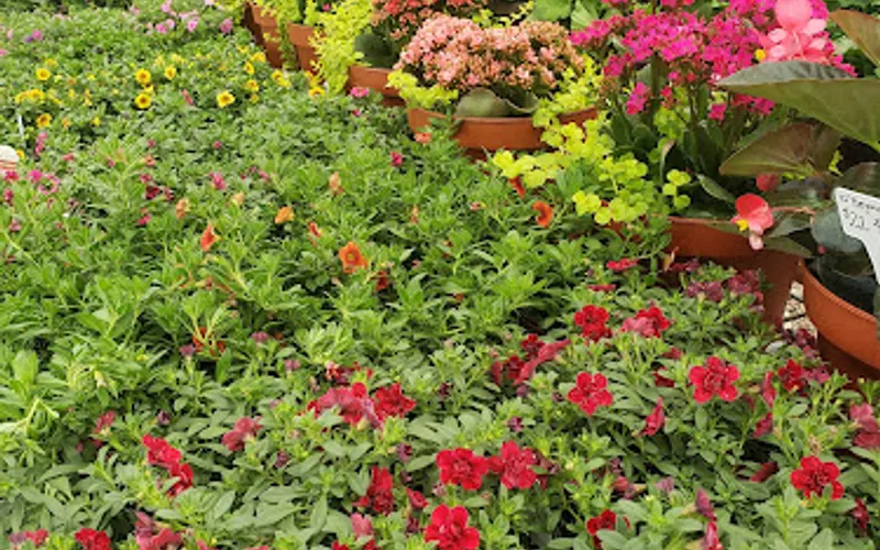 Landscape & More — Landscaping supply store