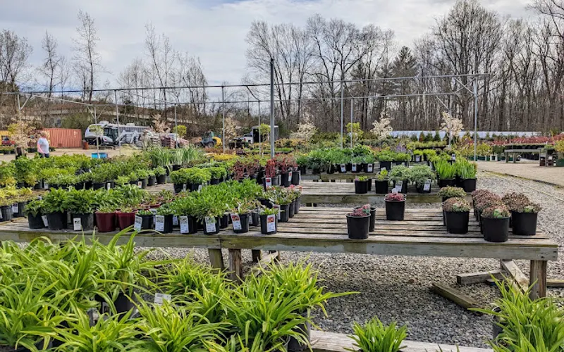 Plant Lot Farms — Garden center