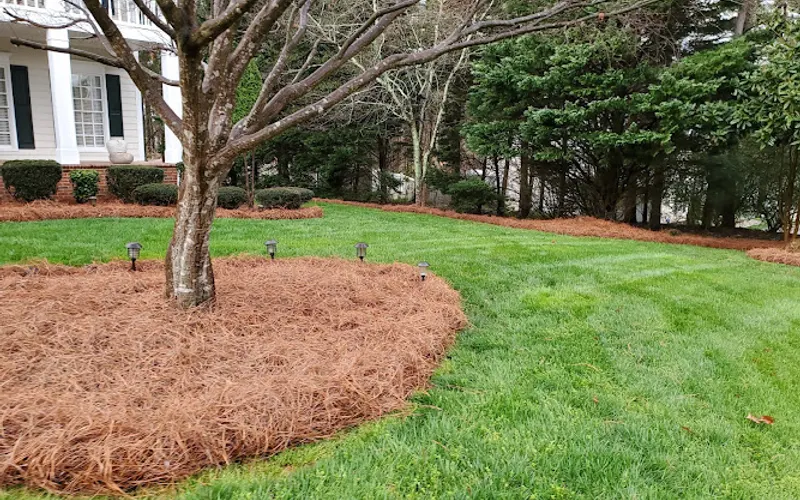 Scpinestraw.com — Mulch supplier