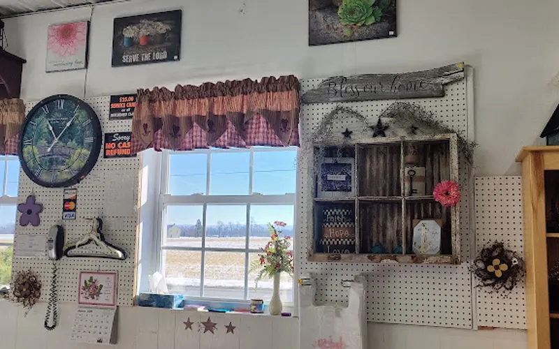 Rocky Turf — General store