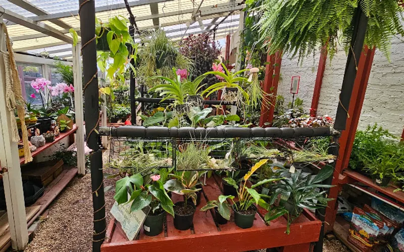 Wild and Whimsy Market and Garden — Garden center