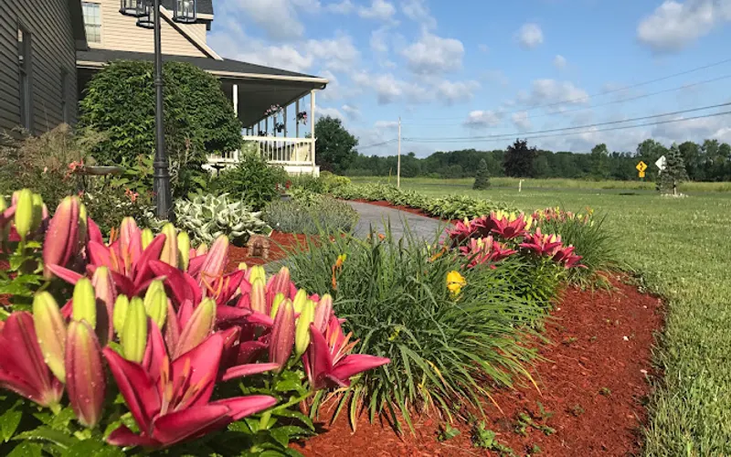Neighborhood Landscaping & Property Care — Lawn care service