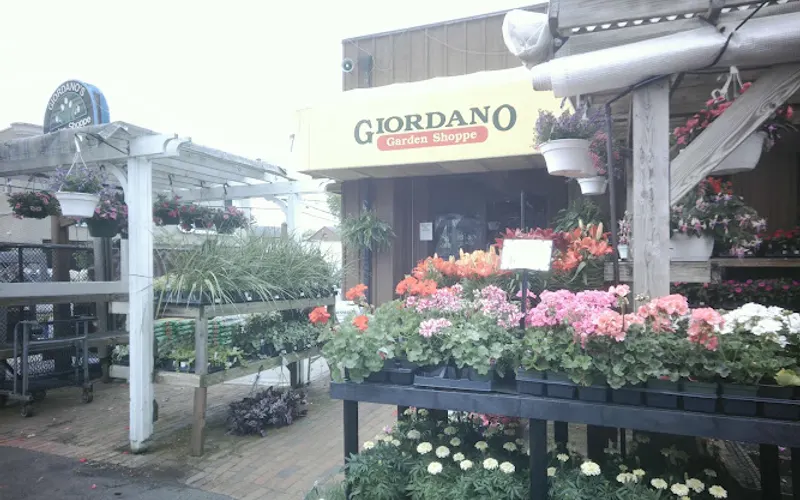 Giordano Garden Shoppe & Nursery — Landscaper