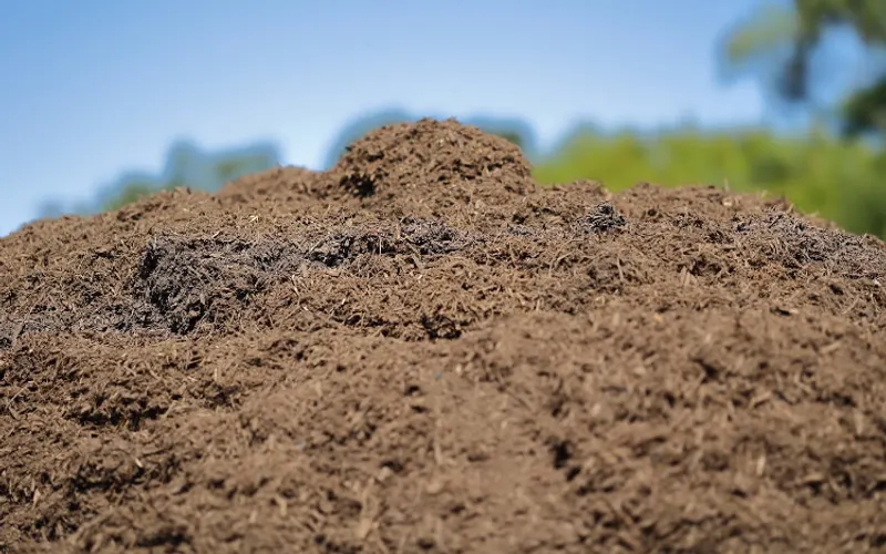 Tree Line Houston Plus - Grass/Landscaping Supply/Equipment Rentals & Demolitions — Landscaping supply store