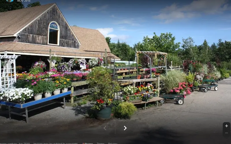 Pleasant View Nursery — Plant nursery