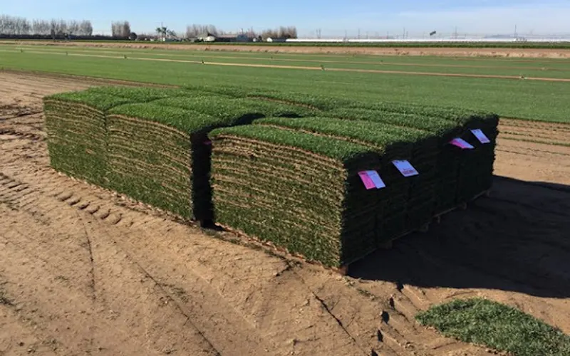 Southland Sod Farms — Sod supplier