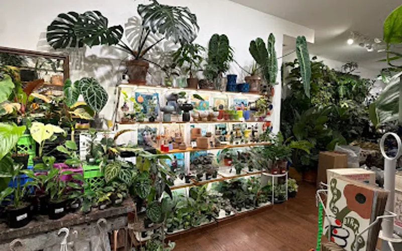 Brooklyn Horticulture — Garden center