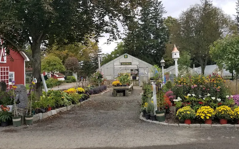 Hollandia Nurseries & Farm — Garden center