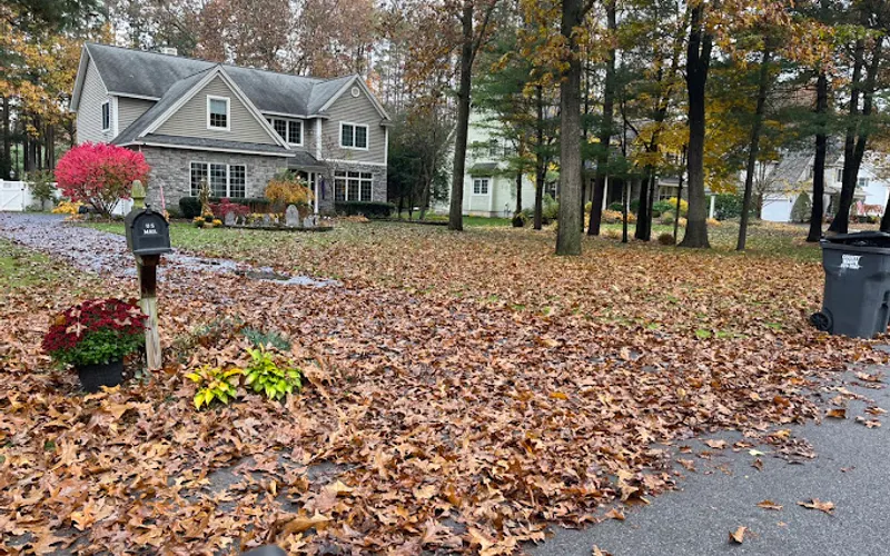 Saratoga Lawn and Landscape — Landscaper