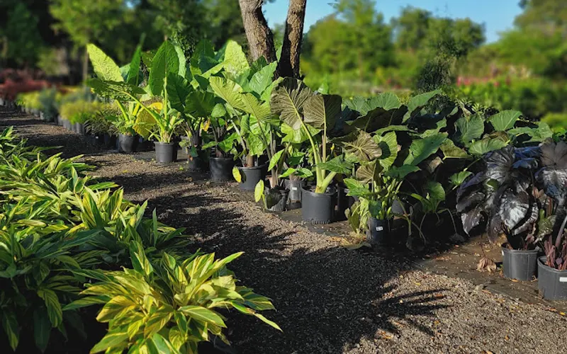 Contours Garden Center — Garden center