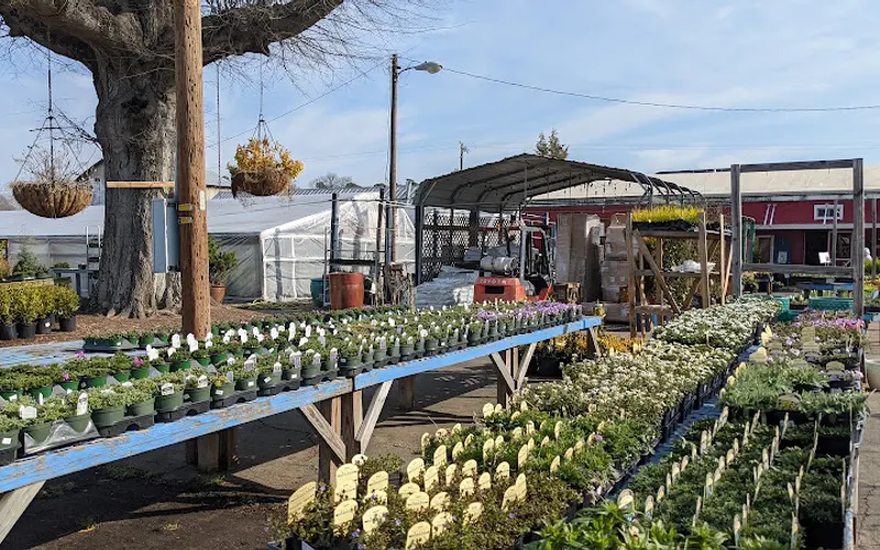 Brawley Seed Co. & Garden Center — Garden center