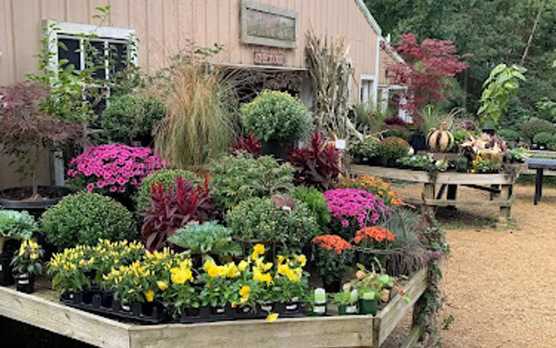 Hidden Timber Gardens — Garden center