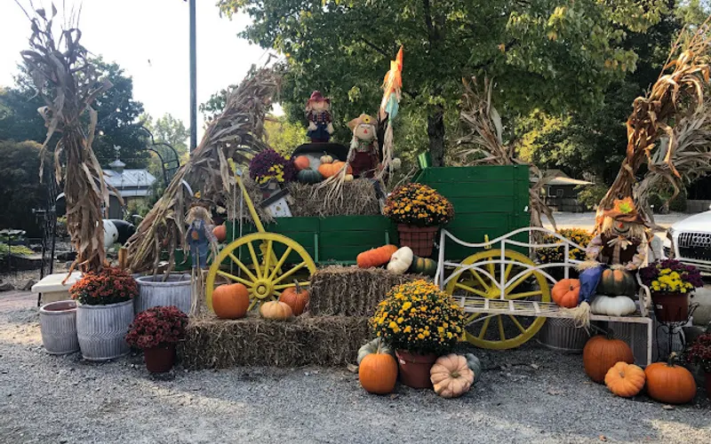 Scottsdale Farms Garden Center — Landscaper