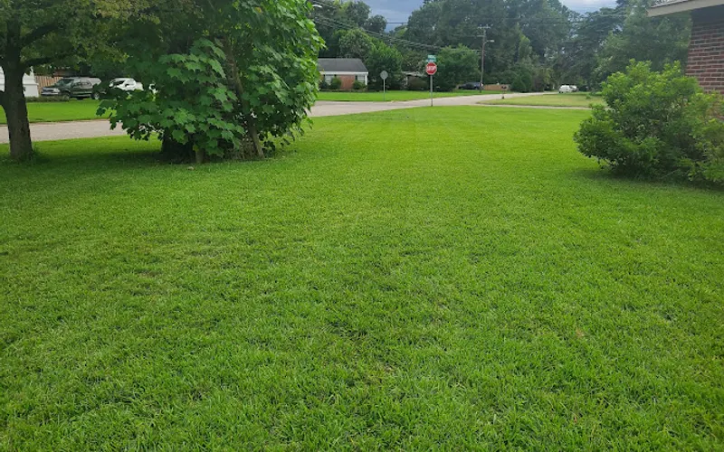 New Leaf Lawn Care & Landscaping — Lawn care service