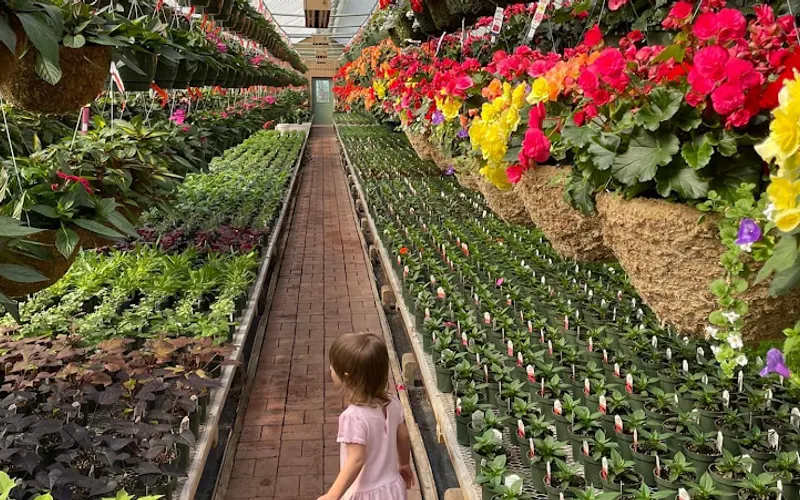 Gilmore's Greenhouse — Greenhouse