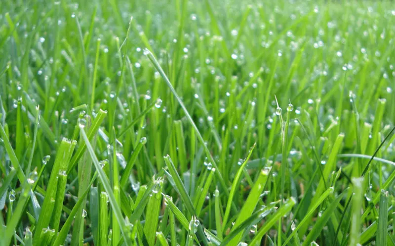 JWP Landscaping — General contractor
