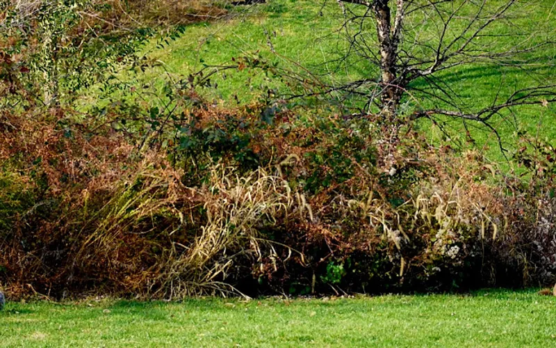 Swatara Township Yard Waste Composting Facility — Recycling center