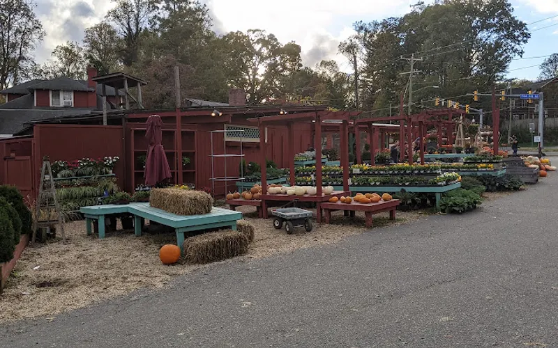 Depaul's Urban Farm — Garden center