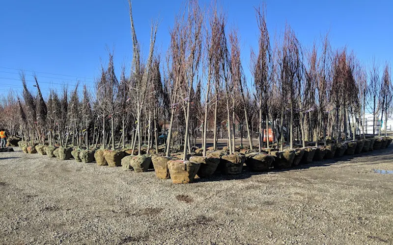Lurvey Landscape Supply — Topsoil supplier