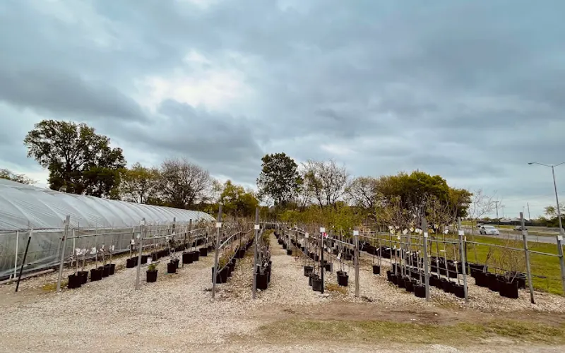 Snooper’s Nursery & Garden Center — Garden center