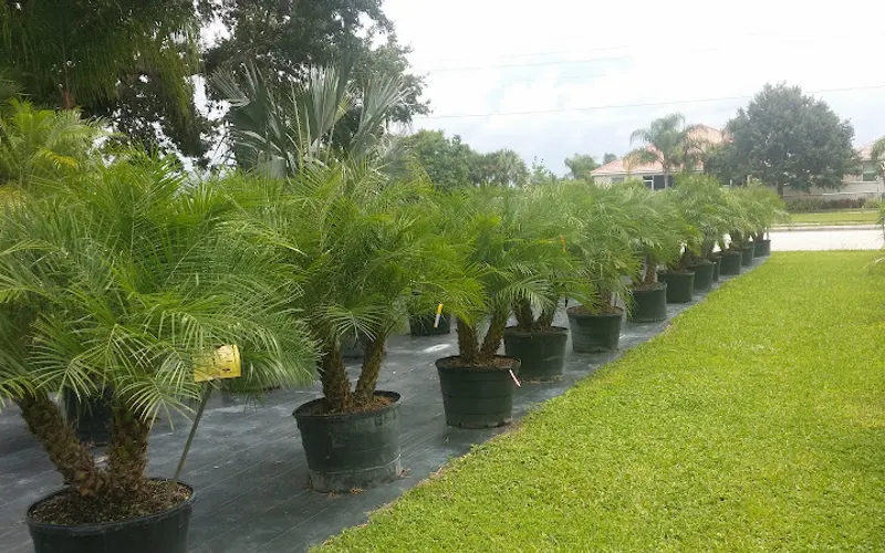 Gulf Breeze Gardens — Landscaping supply store