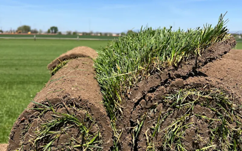 McKellip Sod Farm — Sod supplier