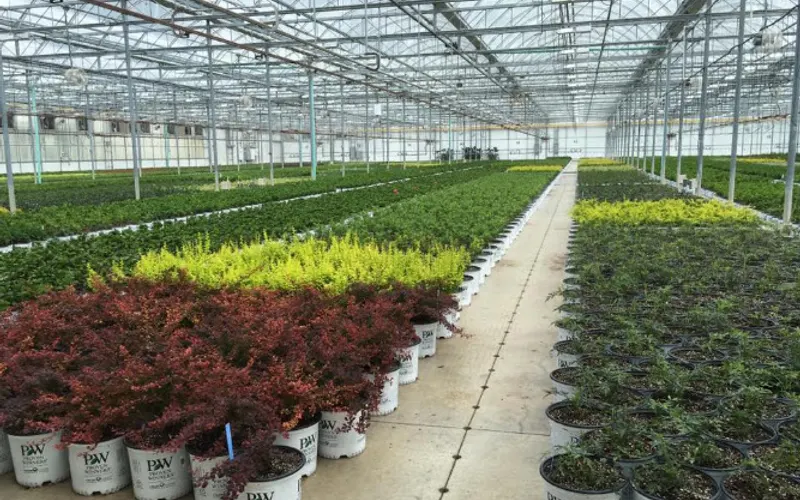 Elm Creek Ltd — Garden center