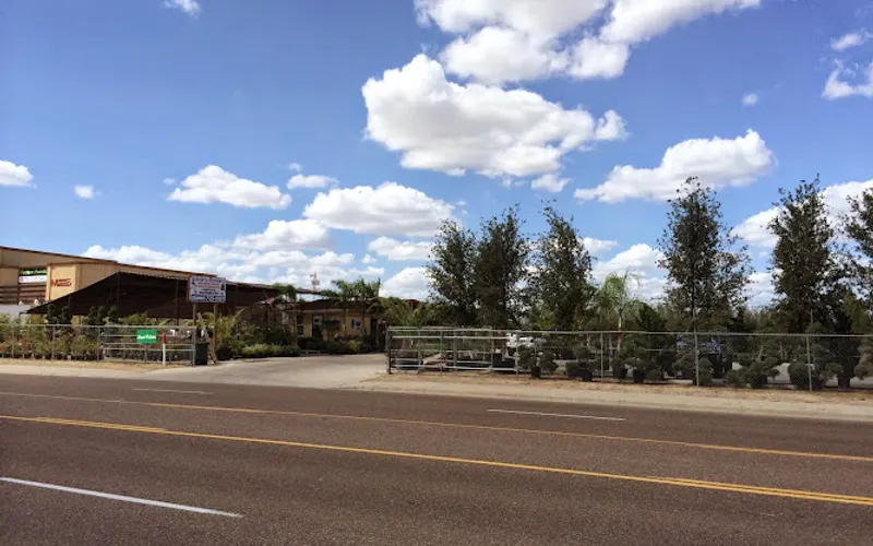 Silva's Nursery — Plant nursery