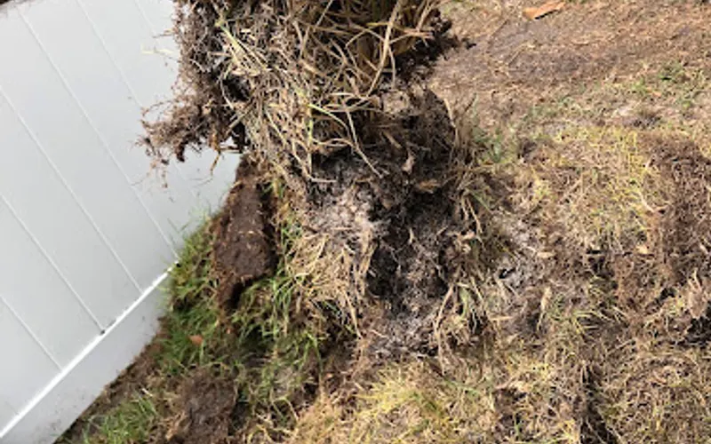 venta de grama L Gil Sod, Inc. — Mulch supplier
