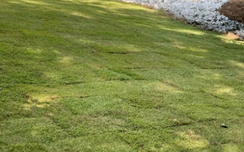 Travis Lynn Landscaping & Grading — Construction company