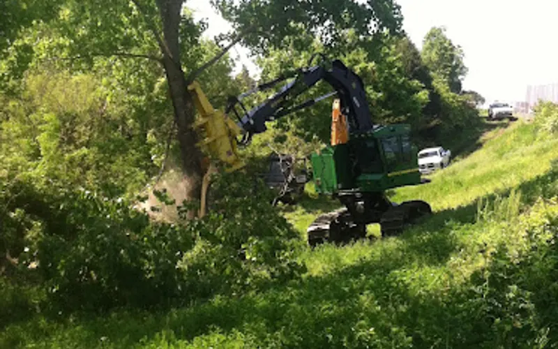 Queen's Tree Surgery, Inc — Mulch supplier