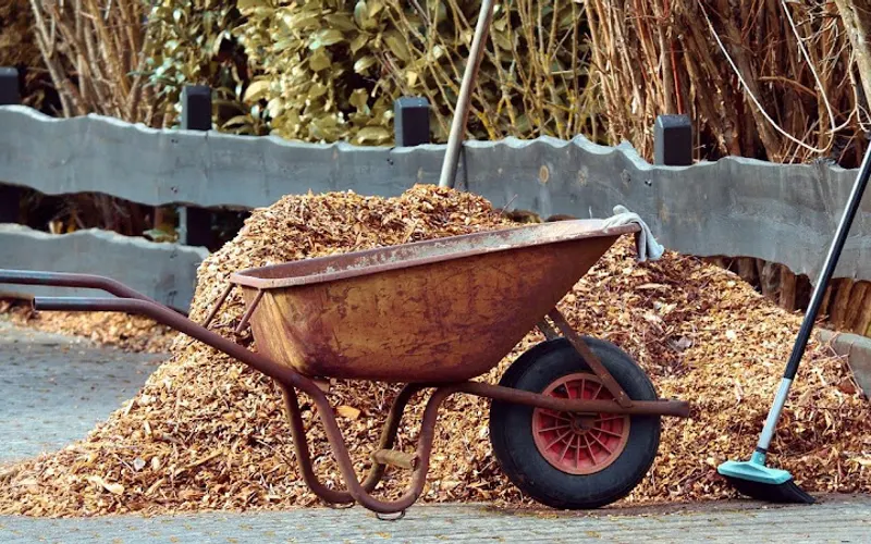 Nature's Supply Centre — Garden center