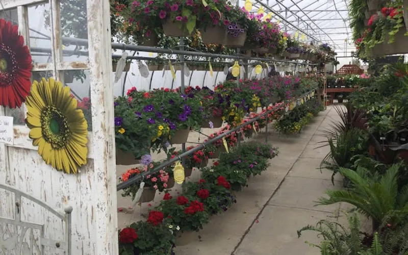 Stillwater Greenhouse — Plant nursery