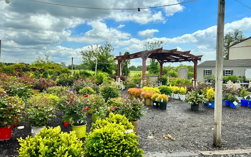 Four Seasons Garden Market & Landscaping — Garden center