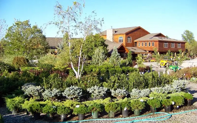 Aspinall's Tree Nursery & Landscaping, LLC — Plant nursery