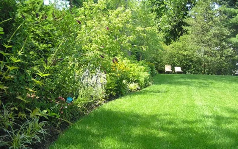 Pine Grove Tree & Shrub Care — Tree service